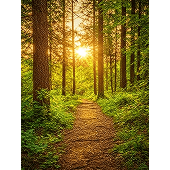 Forest Pathway Decorative Painting/Canvas Art， Ideal for Decorating Living Room， Bedroom， Office， Study， Dining Room， Hallway， Entrance， Meeting Room， Workspace and Meditation Space.
