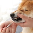 thumbnail image 5 of Herramienta de pluma de doble cabeza para limpieza de dientes de mascotas, removedor de sarro, raspador de piedra Dental para perros y gatos, 5 of 5