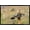 Black Framed Version, variant on The Comedy Wildlife Photography Awards: Wendy Kaveney - That Wasn't Here Yesterday Wall Poster, 14.725" x 22.375"