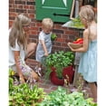 thumbnail image 2 of BloemBagz Big Herb Planter Grow Bag 5 Gallon Living Green, 2 of 5