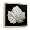 thumbnail image 2 of Designart "Artistic Depiction Of Black And White Leaves On Glass" Leaves Floater Framed Canvas Prints, 2 of 5