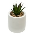 thumbnail image 5 of Mainstays by Becky G. & Alejandra 5.5" Artificial Succulent Plants in Orange, Mimosa & White Modern Ceramic Planters (3 Count), 5 of 11