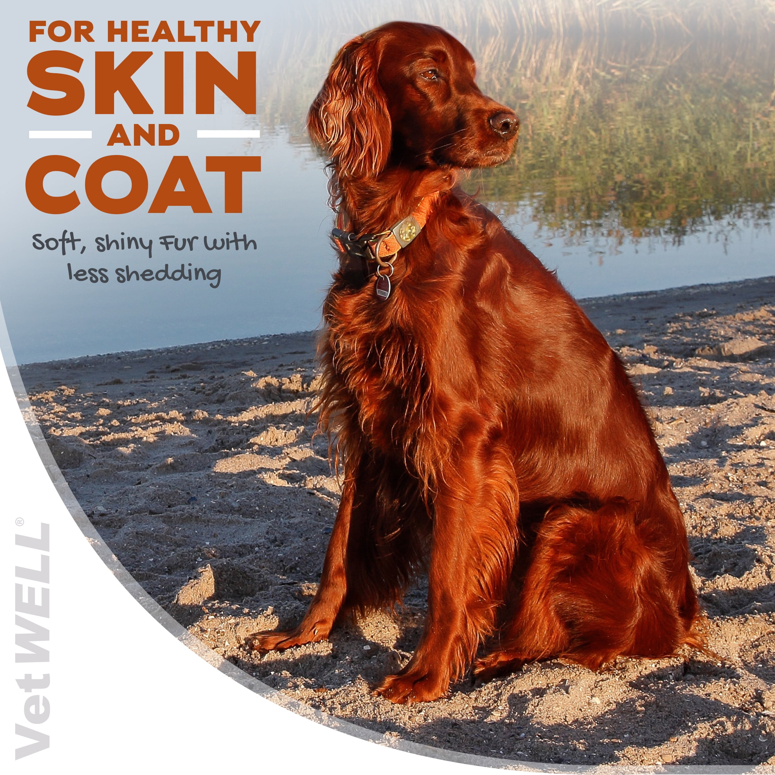 VetWELL Omega 3 Supplement for Dogs with Krill Oil and Astaxanthin, 60 Count