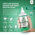 thumbnail image 5 of Doggie Dailies Pet Ear Cleaner, Tea Tree Oil, Witch Hazel and Soothing Aloe, Vet Formulated Ear Cleaner for Dogs, Gently Removes Wax and Debris, Reduces Odor, and Maintains Ear Cleanliness, 5 of 7