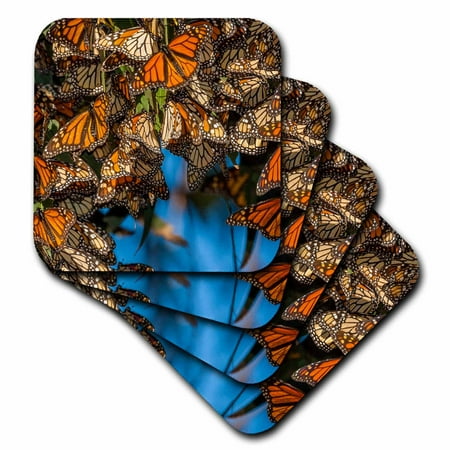 

3dRose USA California Pismo Beach. Migrating monarch butterflies. - Soft Coasters set of 8