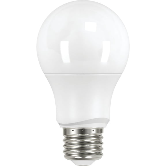 Satco S9590 - 6.5 watt; A19 LED; Frosted; 2700K Medium base; 240' beam spread; 120 volts; Non-Dimmable