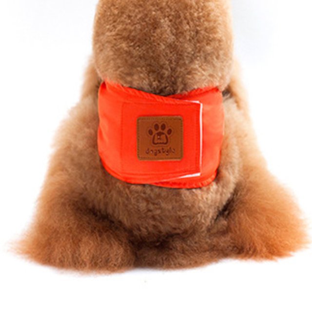 CAROOTU Couches Lavables Réutilisables pour Chien Coton Respirant Chiot Bandes de Ventre Crochet & Boucle Sanitaire Réglable Pantalon pour Animal de Compagnie