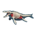 thumbnail image 3 of deevoka Animal Body Model Classroom Body Organ Parts for Study Tool Ages 8+ Children 3106, 3 of 9