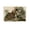 Unframe-style, variant on American Bird Artists John James Audubon Ruffed Grouse Poster Wall Art Poster Scroll Canvas Painting Picture Living Room Decor Home 12x18inch(30x45cm)
