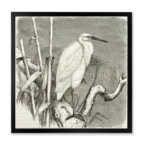 Designart 'Little Egret Bird in Monochrome' Farmhouse Framed Art Print