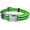 Lime Green/Blue, variant on Regal Dog Products Dog Collar with Metal Buckle & D Ring - Fits Small, Medium, Large Dogs