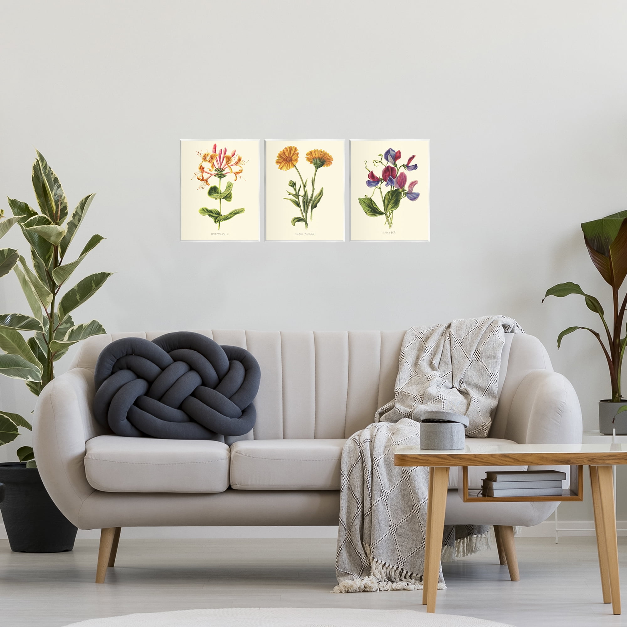 Stupell Industries Flowering Plants Vintage Illustration 3 Piece Wall Plaque Art Set, design by Connie Resch