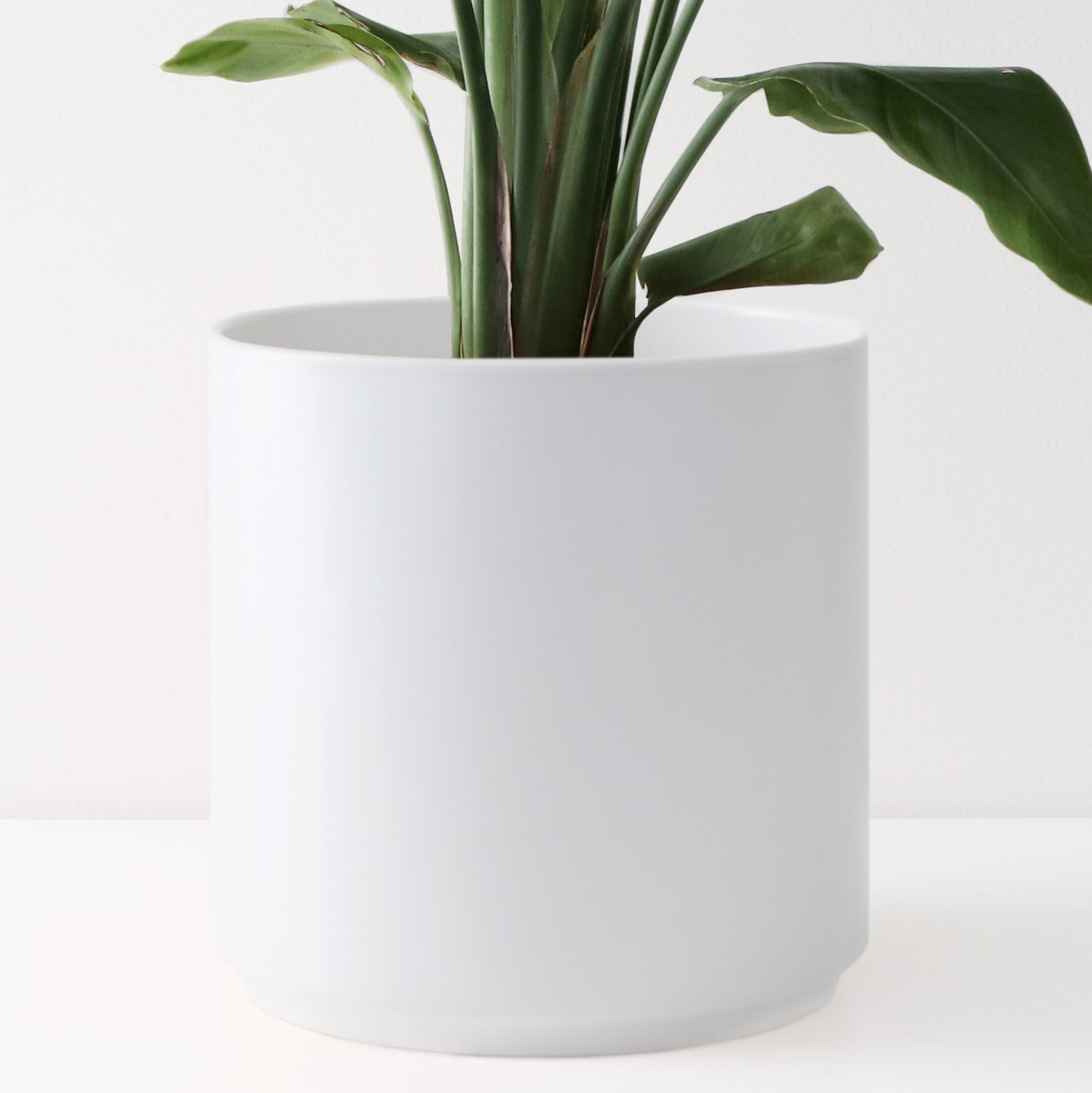 12 inch flower pot