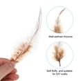 thumbnail image 3 of Uxcell 2.8''-5.5'' Saddle Hackle Rooster Feather Bulk Natural Feathers Fluffy Craft Feathers 100 Pcs Brown, 3 of 6