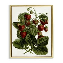 Stupell Industries Strawberry Plant Study Food & Beverage Painting Gold Floater Framed Art Print Wall Art, 17 x 21