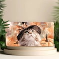 thumbnail image 4 of 1 Pcs 2D Flat License Plate Covers & Frames, A Cat a Hat For Decorative Front, Waterproof For Decoration Aluminum License Plate Covers & Frames Cover For Men Women, 12" X 6", 4 of 6