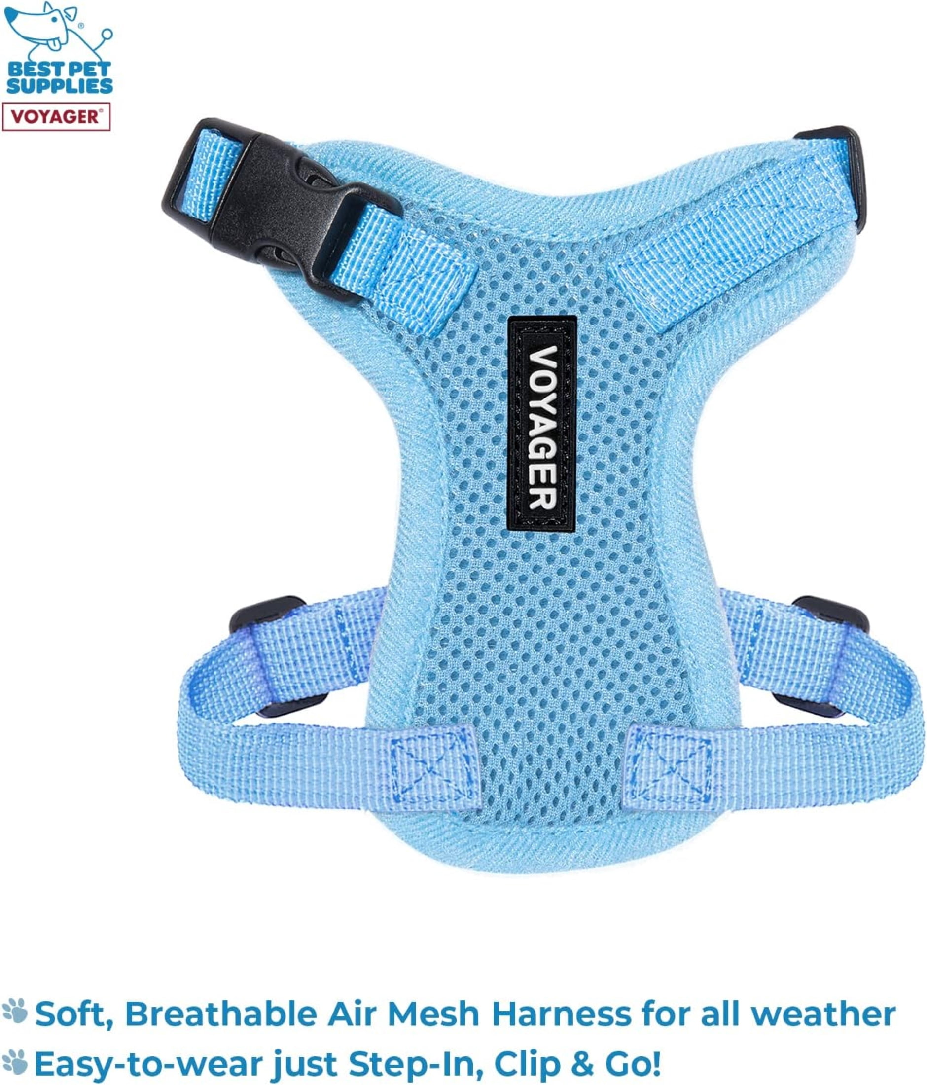 Voyager Step-In Lock Dog Harness & Reflective Leash Set w/ Neoprene Handle 6ft - For Small to Large Breed Dogs/ Cats, Cute & Heavy-Duty for Walking, Running & Training - Baby Blue Trim, XXXS