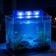 thumbnail image 2 of Small Aquarium Led Light Aquarium Lights For Tank Multicolor Led Tank Light Aquarium Lights For Tank For Freshwater Aquarium Aquarium accessories, 2 of 3
