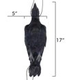 thumbnail image 2 of Colgante De Cuervo Muerto Simulado, Espantapájaros, Decoración De Cuervo Negro Para Halloween, Jardín, Patio, Césped Yuarrent VI011543-00, 2 of 6
