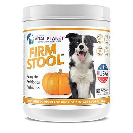UPC: 0850964006477 | Vital Planet – Firm Stool – Eliminates Dog Diarrhea and Gas – Pumpkin Probiotics and Prebiotics for Healthy Digestion Immune Support and Reqularity – 111 Grams 30 Servings