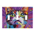 thumbnail image 2 of Dailycode Light Switch Plate Covers 2 Gang Wall Plate Plastics Outlet Covers for Kitchen Home Office Decor Cute Cat and Star, 2 of 8