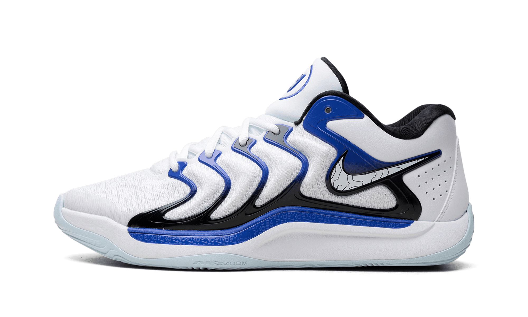 NIKE MENS SB Darwin Low 