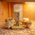thumbnail image 4 of Quail Feeder and Waterer for Farm,Gravity Auto Poultry Food Dispenser,Dry/Wet Separation,Multi-Functional Water & Feed Container for Chicks,Quails & Small Farm Birds,Gold, 4 of 7