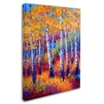 thumbnail image 2 of Trademark Fine Art 'Judy Path to the Lake' Canvas Art by Marion Rose, 2 of 3