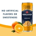 thumbnail image 6 of Sanpellegrino Italian Sparkling Drink Aranciata, Sparkling Orange Beverage, 6 Pack of Cans 66.9 fl oz, 6 of 10
