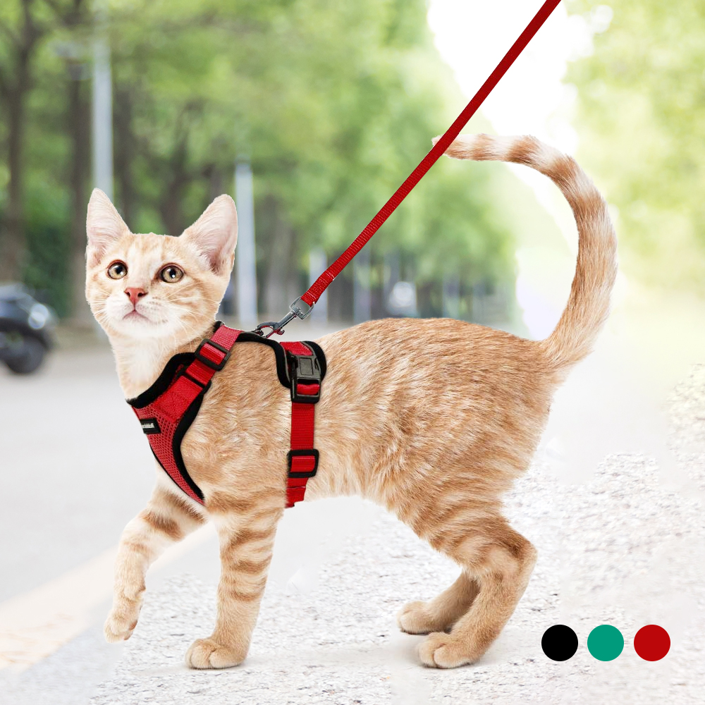 Rabbitgoo Cat Harness And Leash Set For Walking Escape Proof With 59 Rabbitgoo Cat Harness And Leash Set For Walking Escape Proof With 59