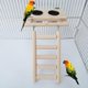 thumbnail image 3 of Parrot Feeding Cups With Clamp Holder Wood Platform Ladder Toy For Cage, 3 of 5