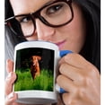 thumbnail image 2 of 3drose, Vizsla Running in Field of Green Grass, Mr., 15oz Two-tone Blue Mug, 2 of 6