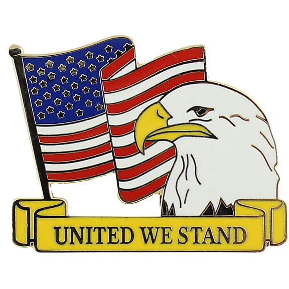 United We Stand Flag Pin