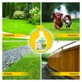 thumbnail image 5 of Harris Sea Salt 10X Weed & Grass Killer, 32 oz., 5 of 6