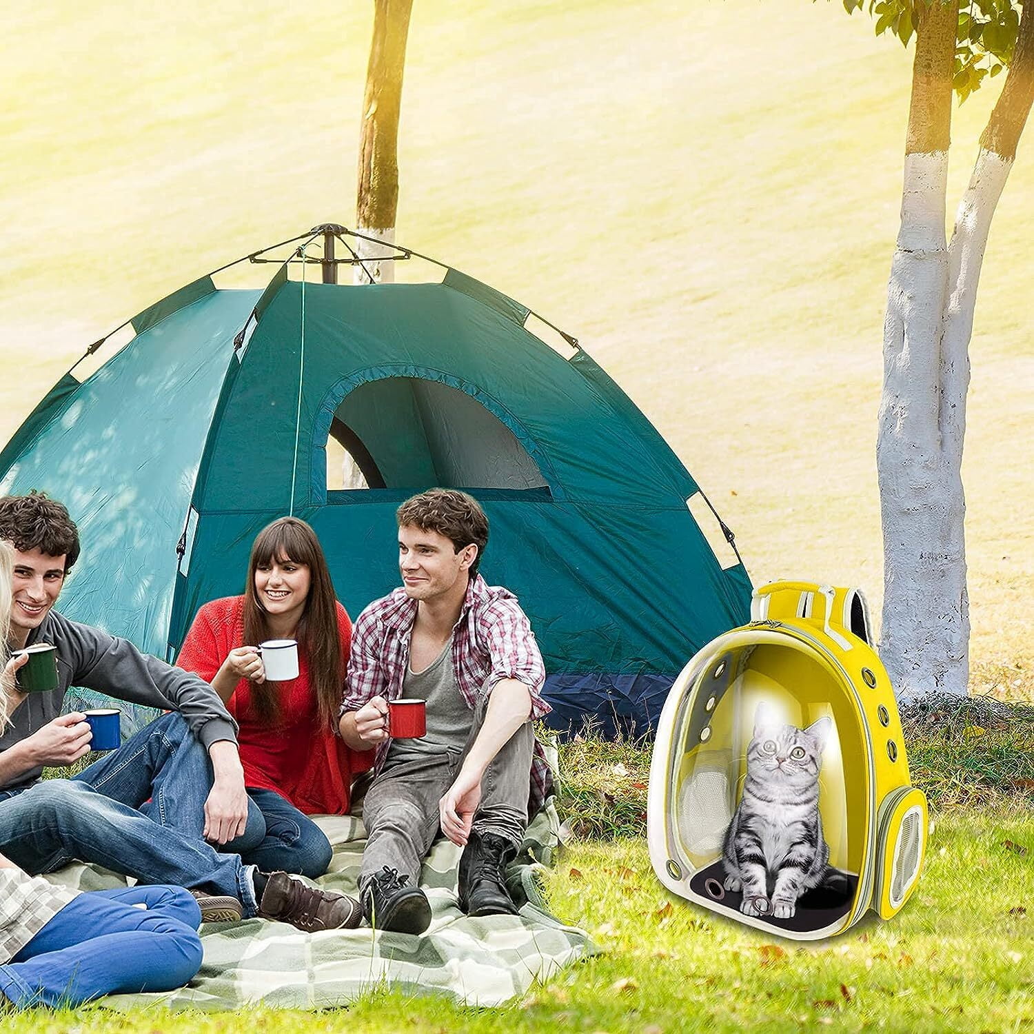 Pet Carrier, Cat/Dog Bubble Backpack, Pet Travel Bag, Small Space Pet Capsule Knapsack, Airline-Approved Ventilate Transparent Capsule Backpack for Hiking and Outdoor Use (Yellow)