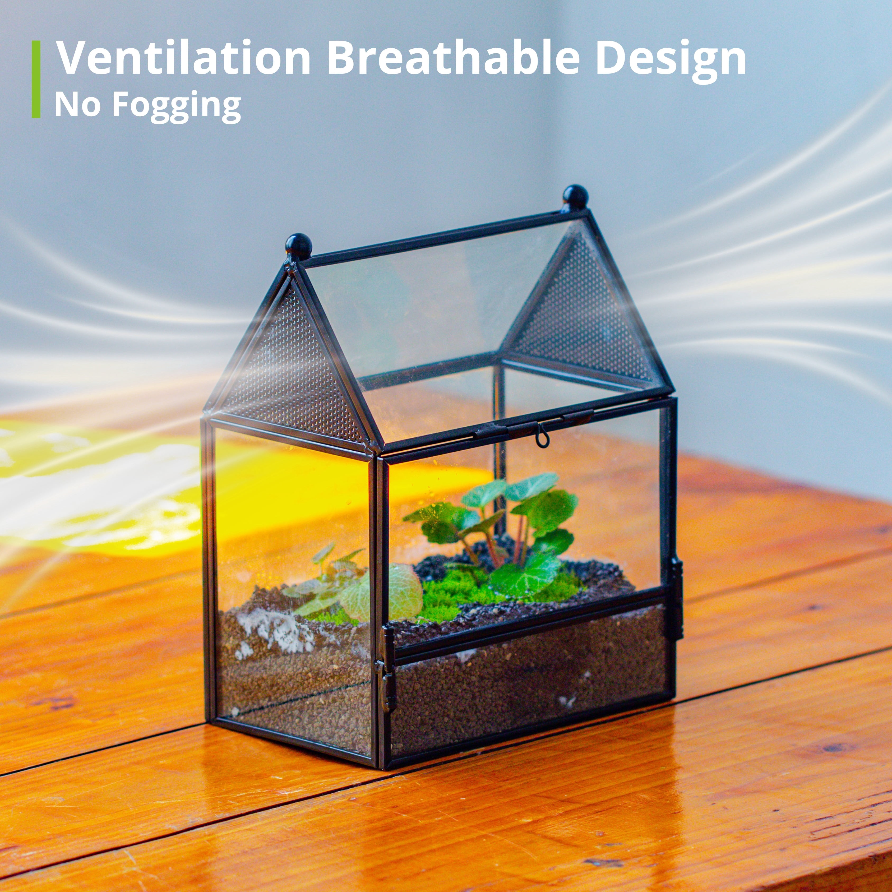 NCYP Glass Enclosure with Vent Holes for Insect, Spiders - 5.8'' x 3.8'' x 6.8'', Small Closed Front Opening Door Succulent Terarium - House Shape Habitat, Home Decor Black (No Plants)