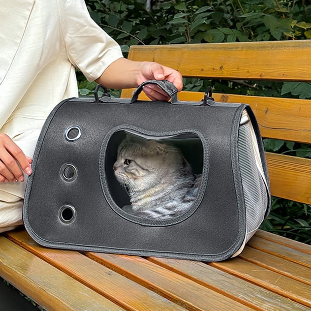 cat bubble backpack leather BEIKOTT Carrier, Pet Backpack, Breathable Cat Dog Space Capsule Backpack, Airline-Approved for Small Cats Dogs Birds Bunny Travel Hiking : Pet Supplies Directional Ventilation System MiMu Bubble Backpack Cat Carrier