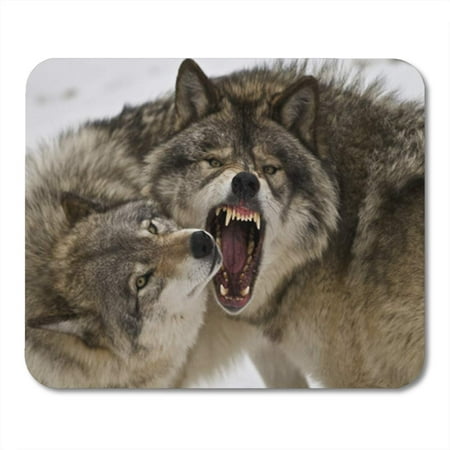 SIDONKU Fight Bad Wolf Day Mean Scary Carnivore Natural Timber Wolves Mousepad Mouse Pad Mouse Mat 9x10 inch