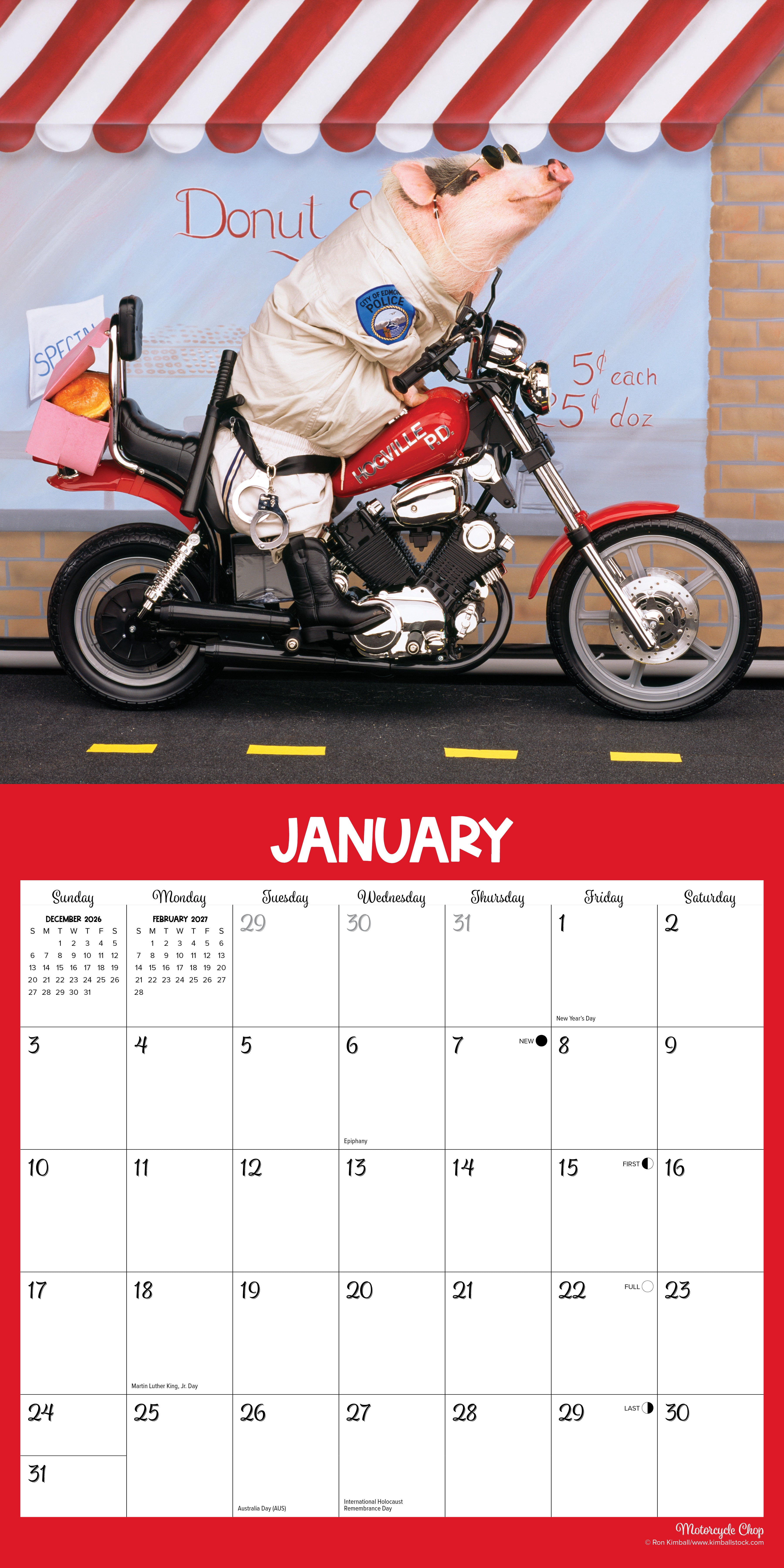 Willow Creek Press, Pigs at Play 2027 Wall Calendar