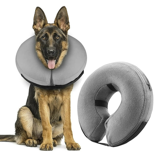 Mascretta Collar Isabelino para Perro o Gato. Dona Isabelina Mascotas. Dona de Recuperación Mascretta Collar Isabelino