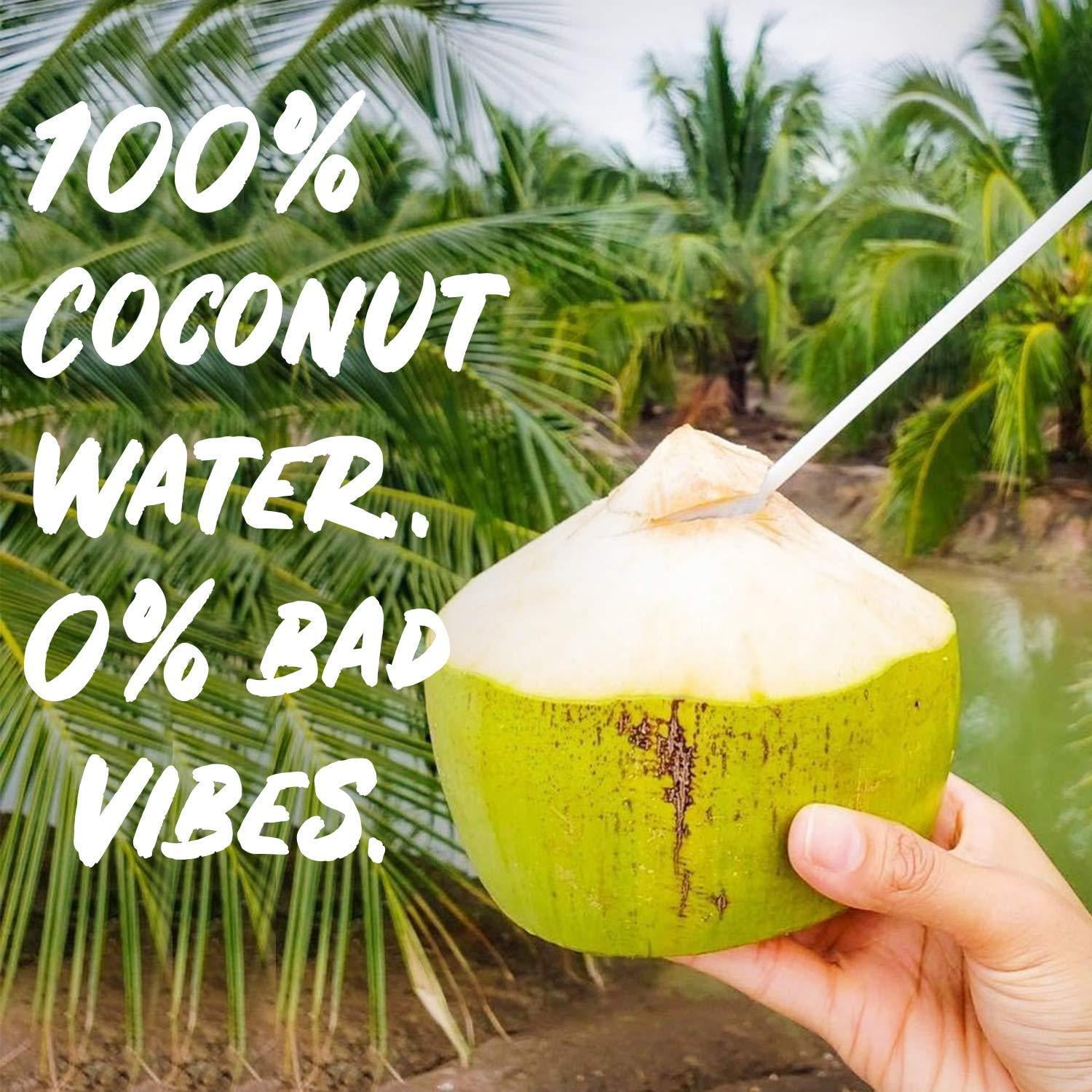 JIO COCO 100% Pure & Natural Tender Coconut Water To Drink. No Added Sugar,  No Added Flavor, Not From Concentrate, And No Chemical Preservatives :  : Grocery & Gourmet Foods