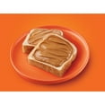 thumbnail image 4 of Reese's Peanut Butter Sauce, Bulk Jar 4.5 lb, 4 of 9