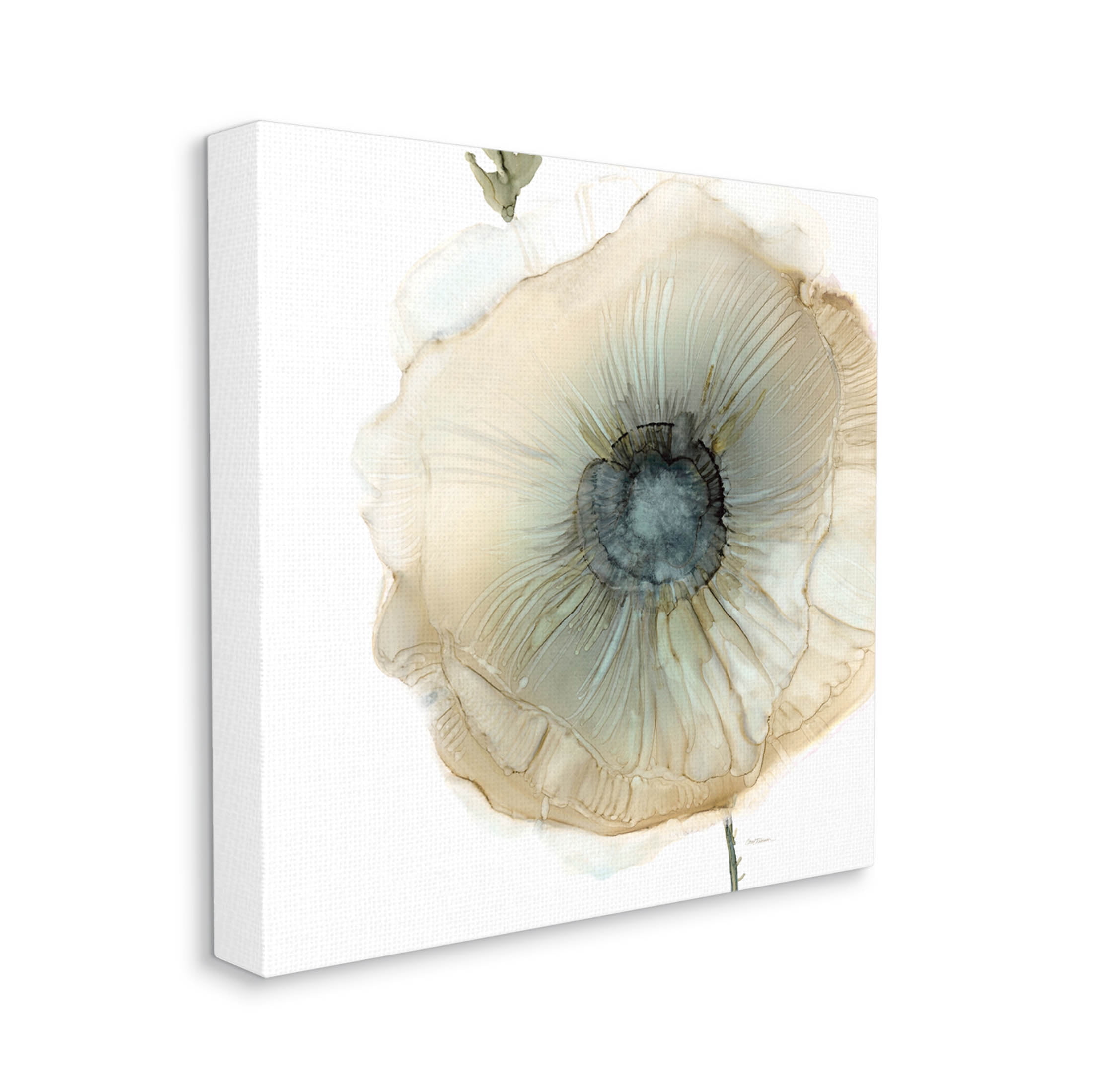 Stupell Industries Contemporary Flower Petal Poppy Blossom Graphic Art Gallery Wrapped Canvas Print Wall Art, Design by Carol Robinson