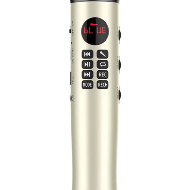 Microphone Portatif pour Chanson K, Haut-Parleur Sans Fil Compatible Bluetooth, Panneau de Réglage Multifonction, Écran d'Affichage LED, Micro KTV, Or