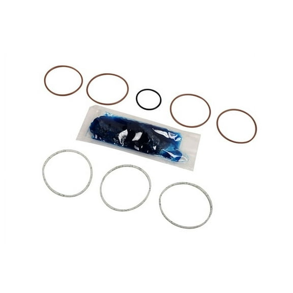 Steering Gear Valve Seal