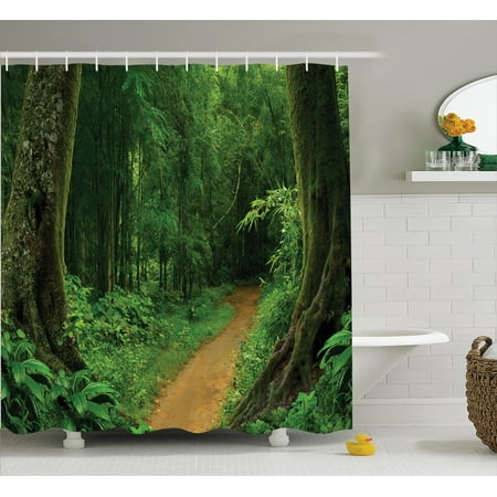 Tropical Decor Tropical Jungle Forest With Trees Pathway Foliage