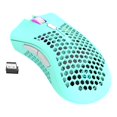 thumbnail image 1 of Souris Sans Fil USB Rechargeable 7 Boutons 3 Vitesses 1600 DPI Réglable Nid d'Abeille Creux Bleu/rose/noir/blanc-bleu, 1 of 6