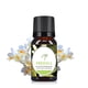 thumbnail image 3 of Perfumes para hombre Perfumes de mujer Aceite de aromaterapia de grado terapéutico soluble en agua 10ML, 3 of 6