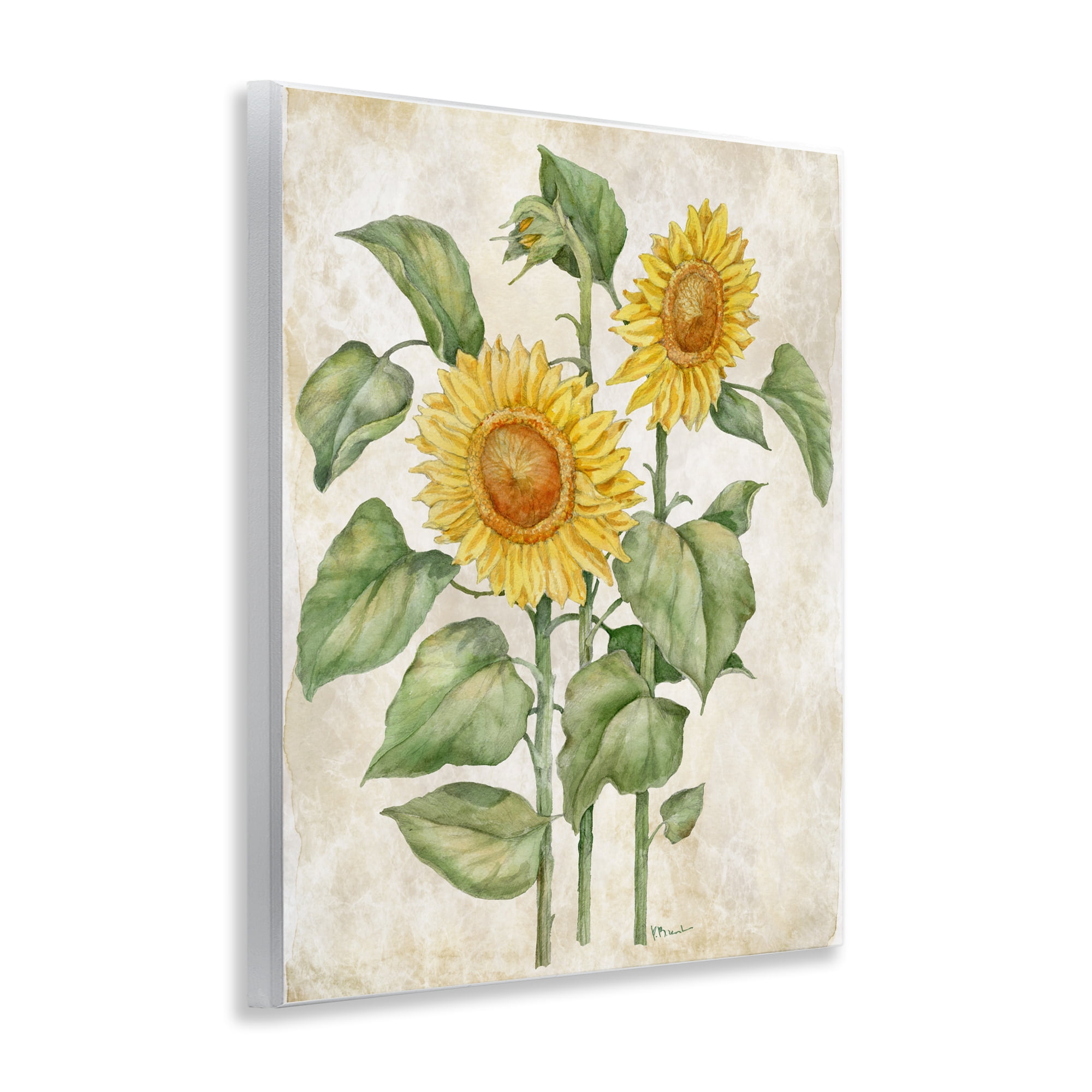 Stupell Industries Floral Journal Vintage Sunflower Wall Plaque Art, design by Paul Brent