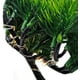 thumbnail image 4 of Lámpara Decorativa de árbol bonsái CM-TOP USB Recargable, 4 of 5
